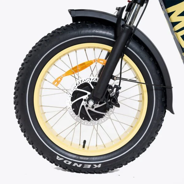 20 48V/14AH 750W Foldable Fat Tire Electric Trike, 330LBS