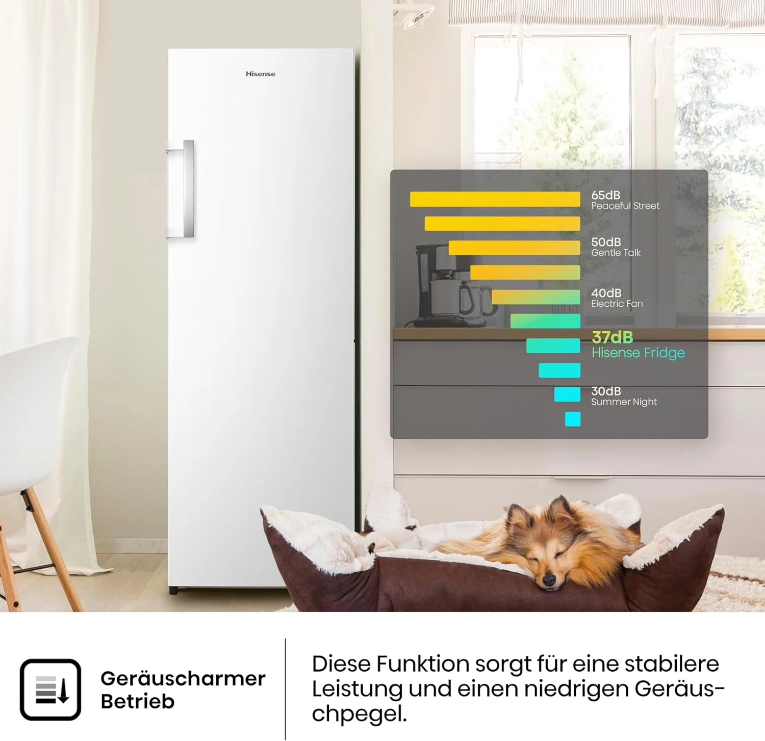 Hisense FV191N4AW2 Congelatore verticale/ Total No Frost/ Super Freeze/ Allarme porta/ Multiflow 360°/ BigBox/ 143,4 cm/ Congelatore 147 l/ 41 dB/ 205 kWh/Bianco