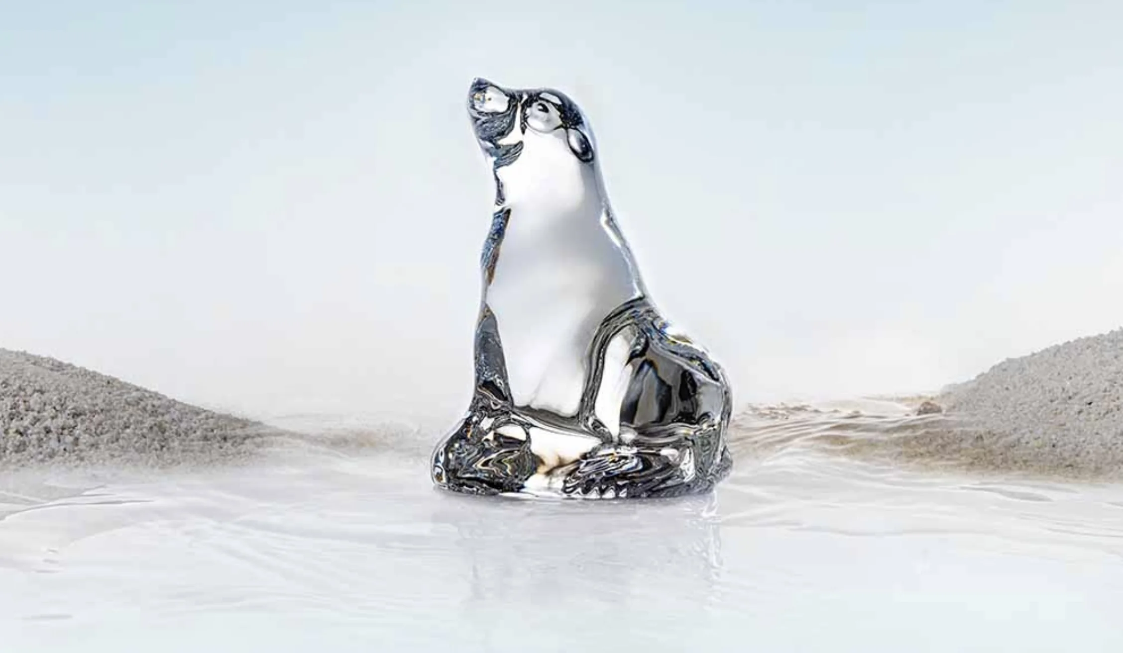 Sea Lion Hand Cooler