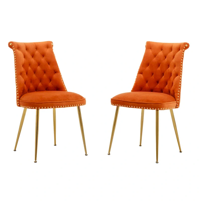 Clihome Modern Velvet Upholstered Featured Dining Chairs (Set of 2)