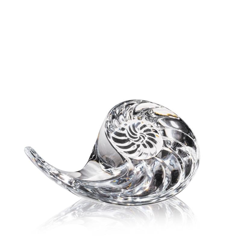 Nautilus Shell