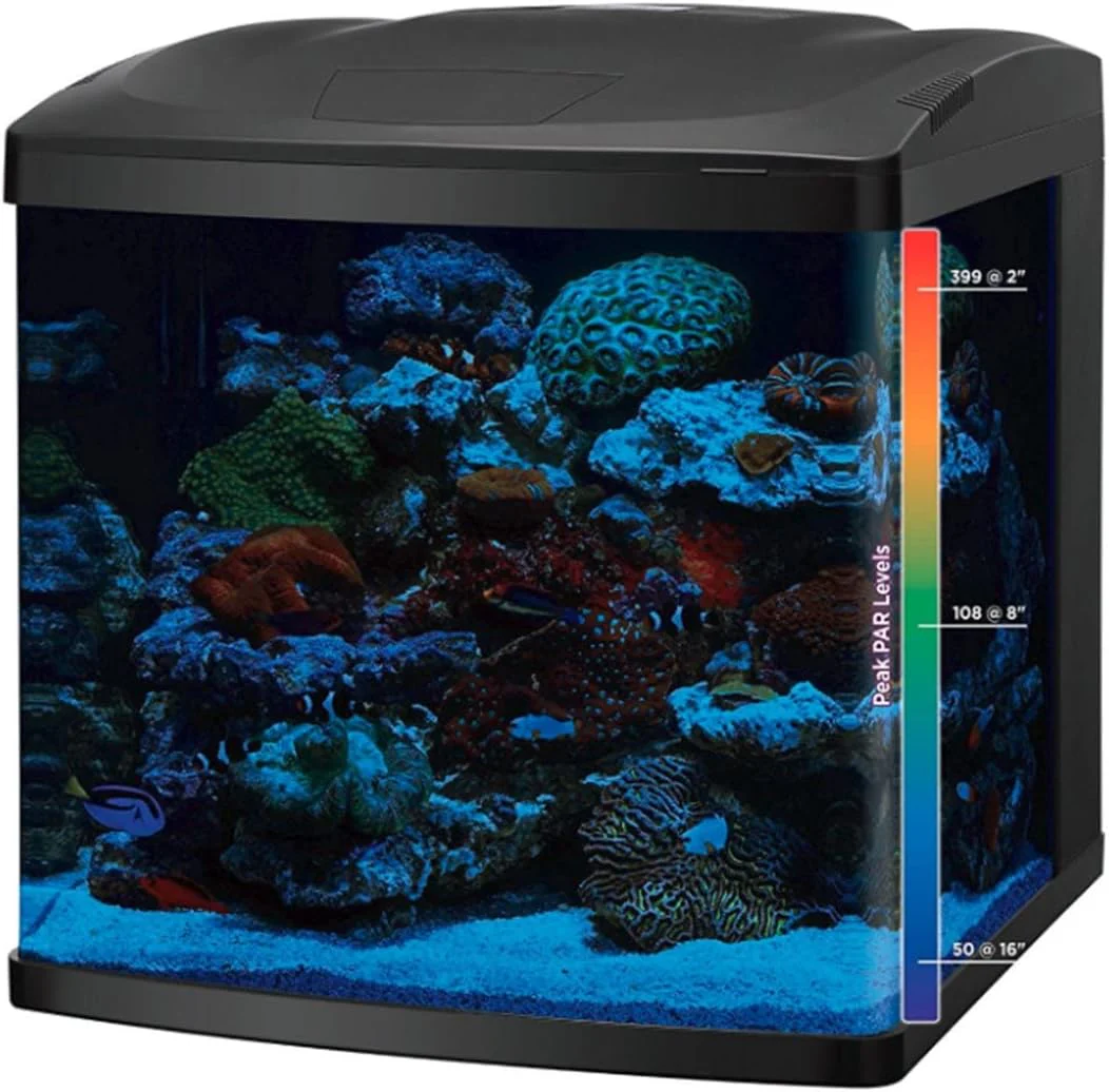 LED Tanks and Combo Kits (32 Gallon Tank/Stand Kit)