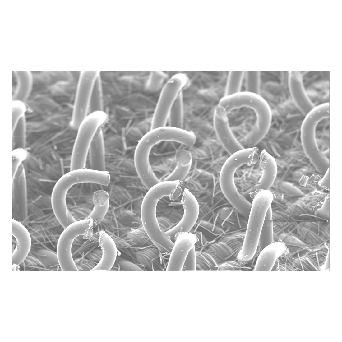 3M AB20446  ~  Clean Sanding Disc Pad Hook Saver 20446 6 in 52 Holes