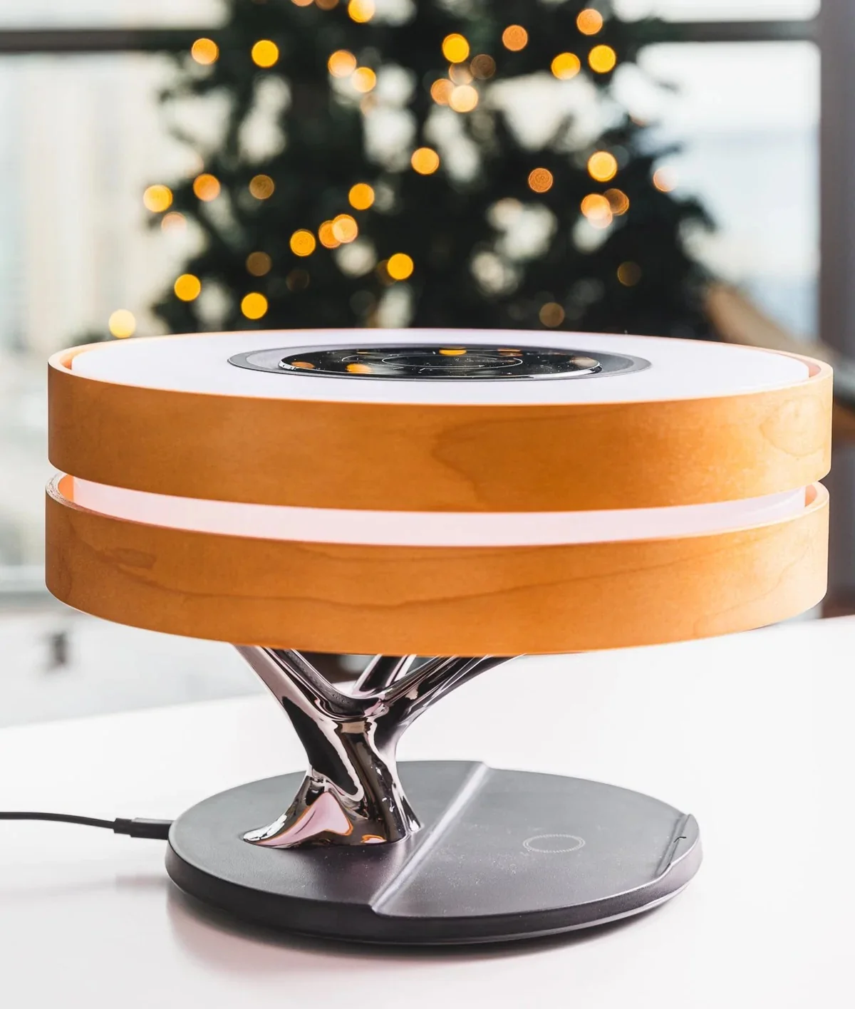 Circle of Life Lamp
