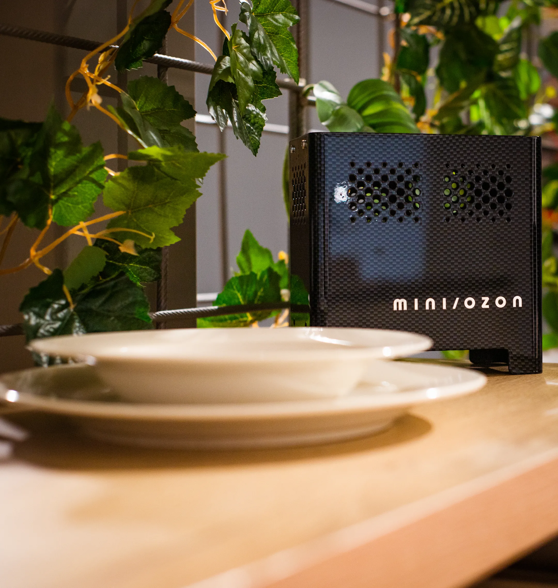 Mini Ozon Luchtreiniger - Zwart