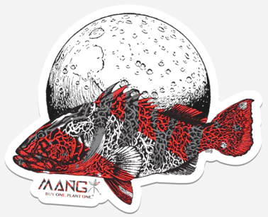 Grouper Moon Sticker