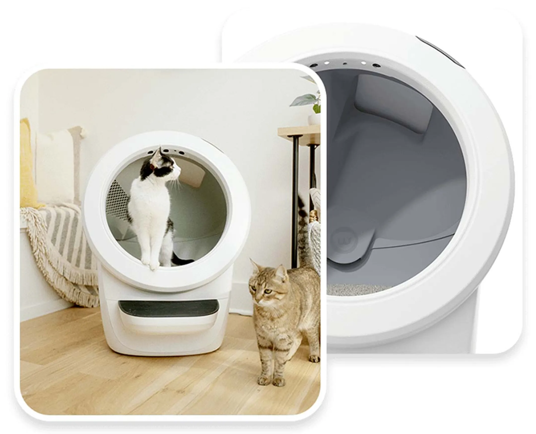 LITTER ROBOT Automatische kattenbak 4 - Wit