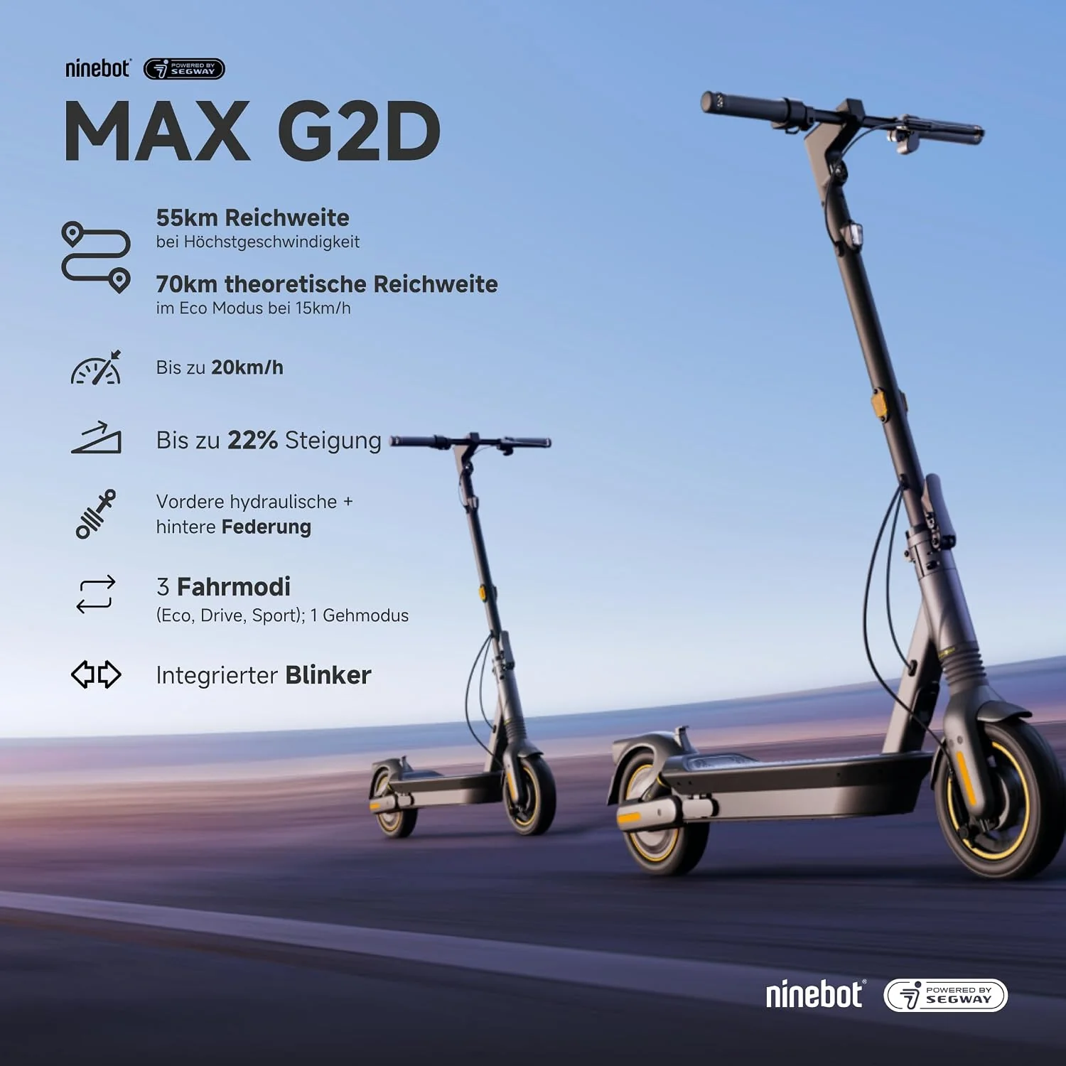 E Scooter Straßenzulassung MAX G2 D 20 km/h 70 km Reichweite Vollfederung 10 Zoll bis 120 kg EU Modell