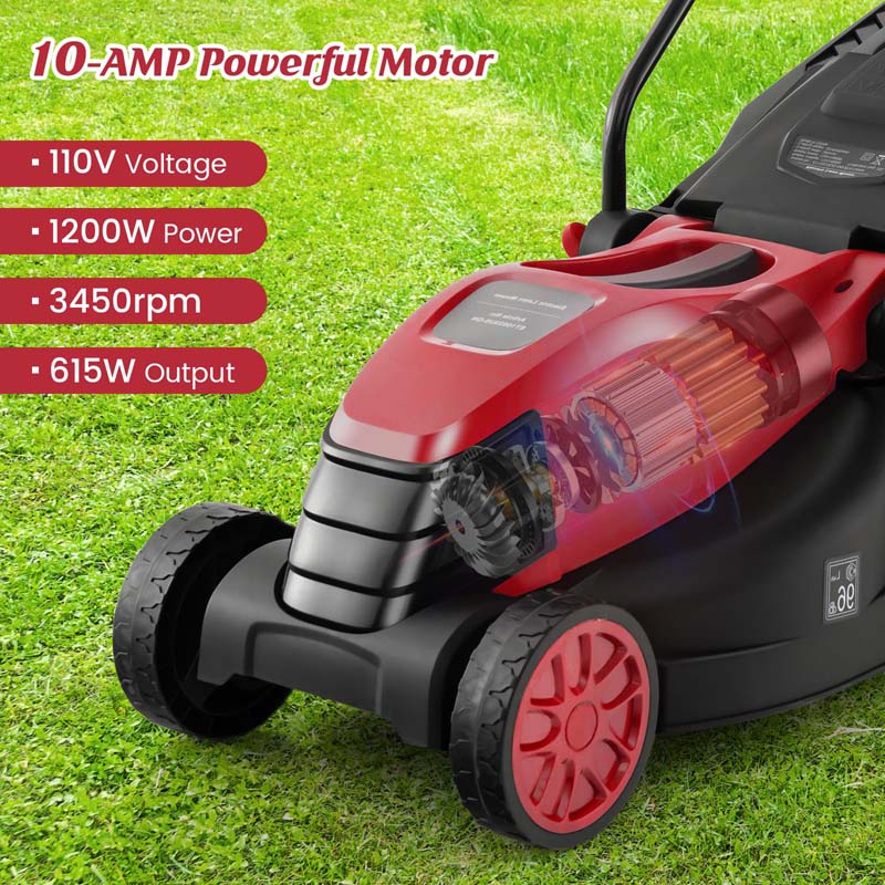 10 AMP 13