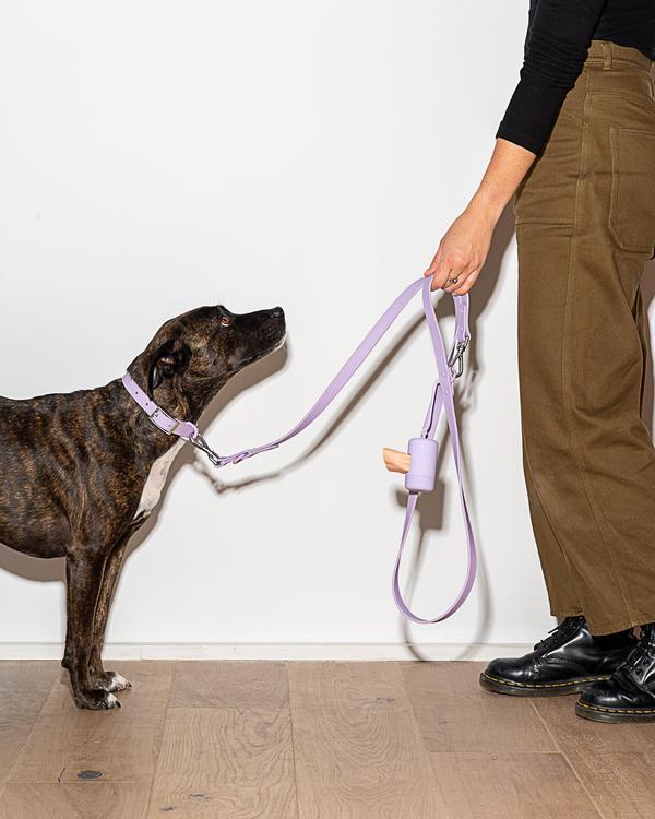 Lilac Walking Kit