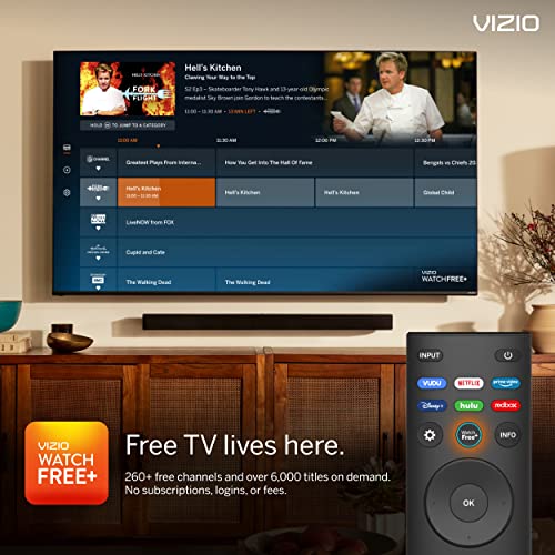 VIZIO 40-inch D-Series Full HD 1080p Smart TV with AMD FreeSync, Apple AirPlay