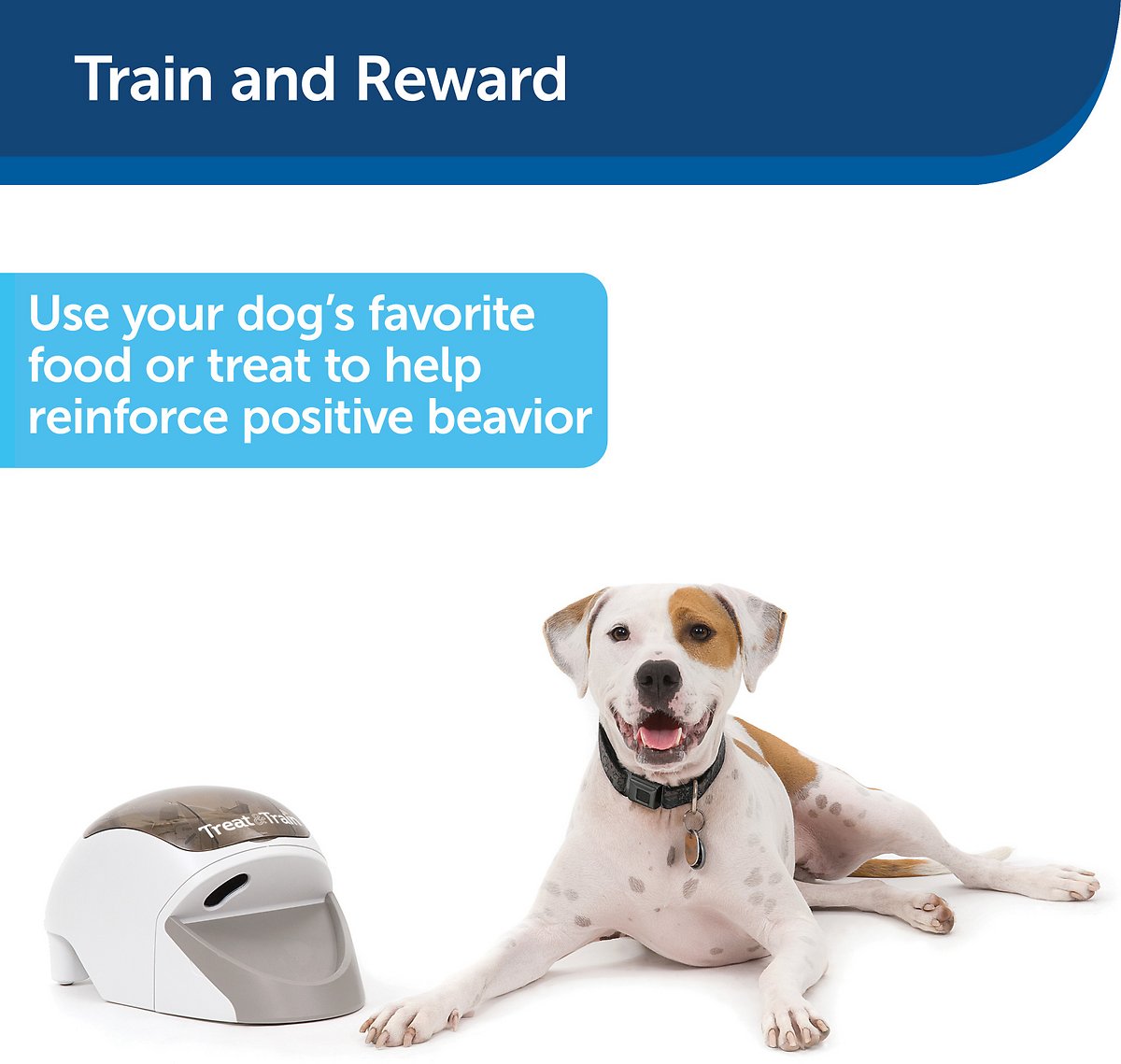 PetSafe Treat and Train - Sistema di addestramento per cani con erogazione di premi a distanza, rinforzo positivo, comportamento calmo, evitamento delle distrazioni, include DVD di addestramento, bacchetta di puntamento e telecomando, per cani dai 6