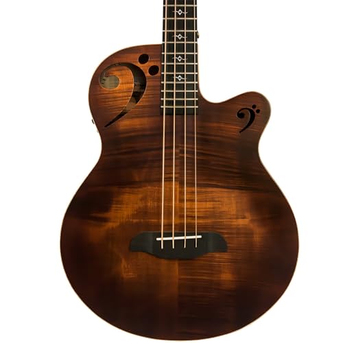 Sawtooth Signature Fretless Acoustic Electric Guitar