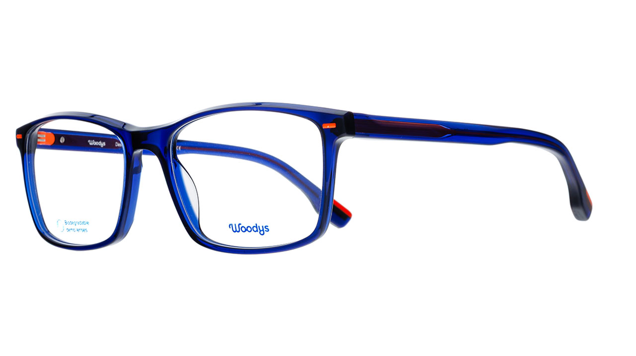 Lunettes FORD - Bleu
