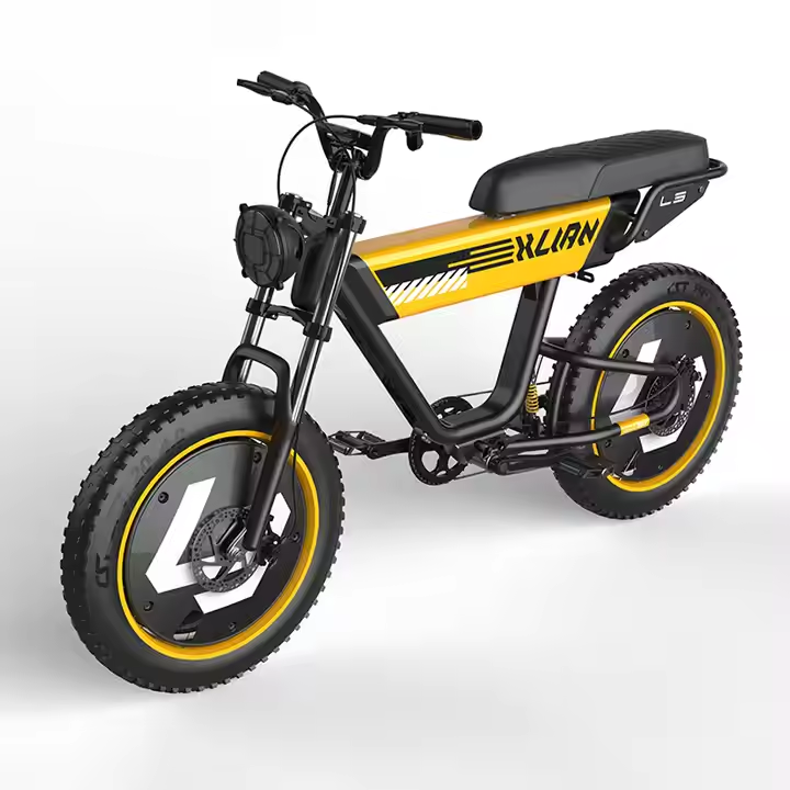 48V 750W electric bike 1000w 15AH hydraulic disc brake electric bike full suspension dirt mountain fat tire bicycle electric