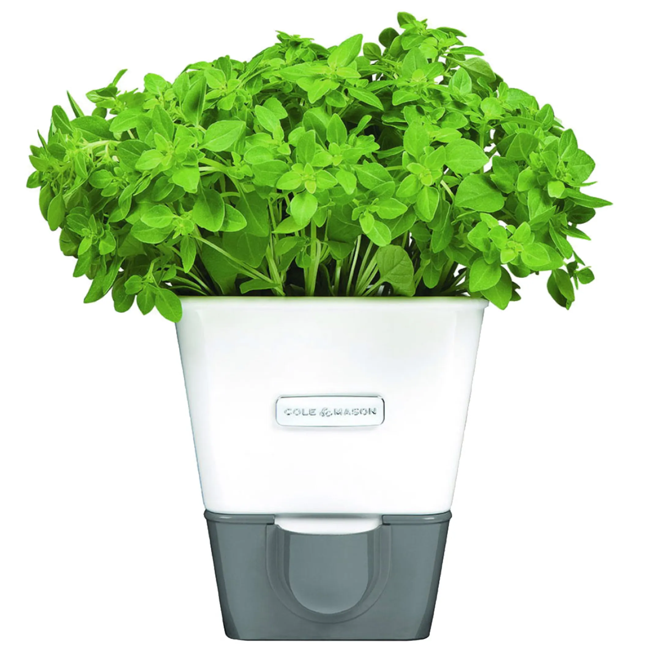 Cole&Mason Kruidenpot met waterreservoir
