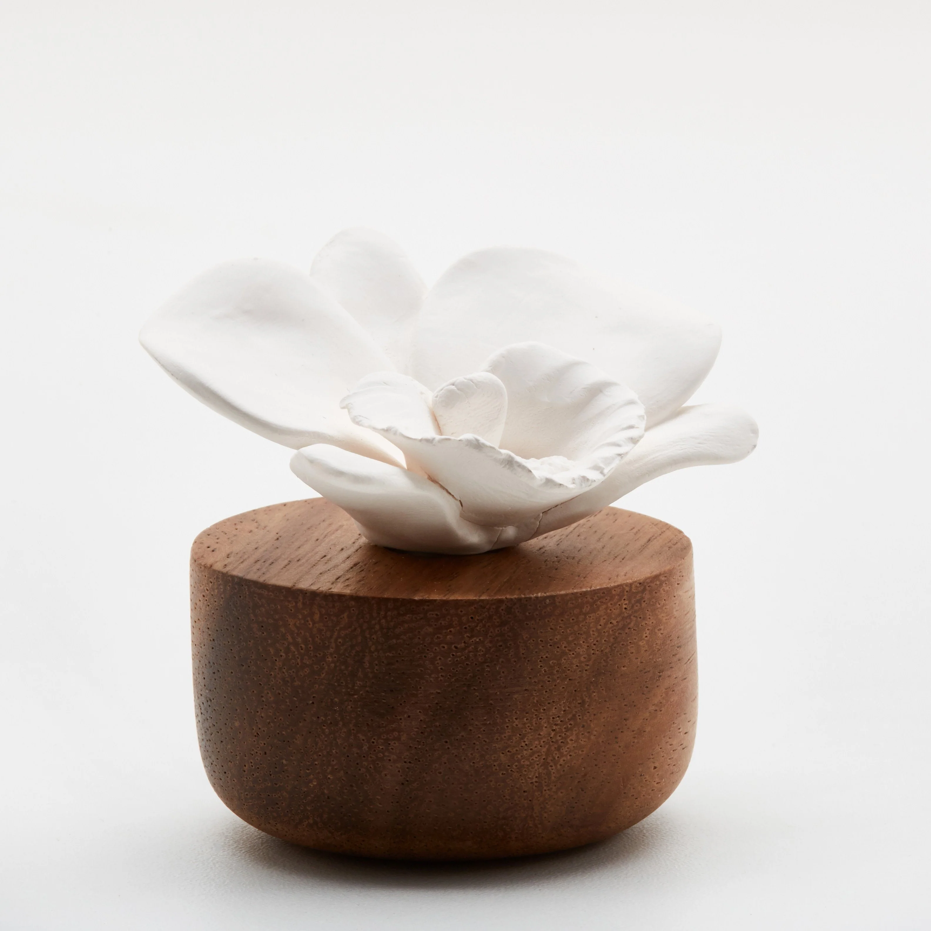 Spring Bud Diffuser, Petit