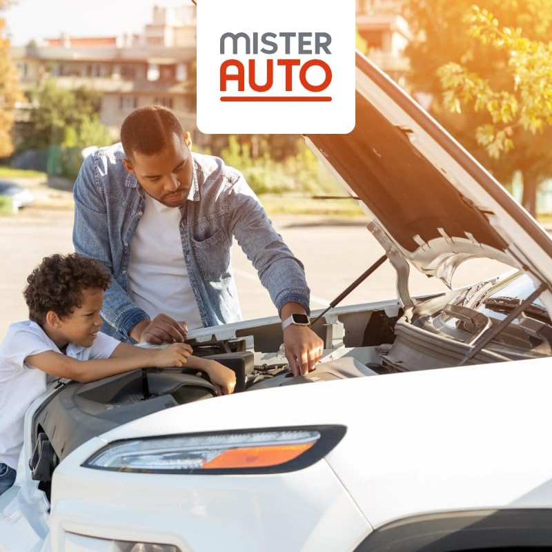 VARTA Automotive DYNAMIC SLI (F16) 12V 80Ah 740A - Nassbatterie KFZ mit Standardausstattung & ohne Start-Stopp System - Starterbatterie für einfachen Energiebedarf - Bleisäurebatterie wartungsfrei