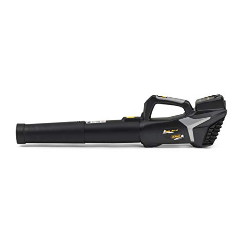 Alpina Soffiatore a Batteria ABL 20 Li Kit, per un Giardino Pulito e in Ordine, Batteria 20V (4 Ah), 280 W,Tubo Rimovibile Salvaspazio, Batteria e Caricabatteria incl. : Amazon.it: Giardino e giardinaggio