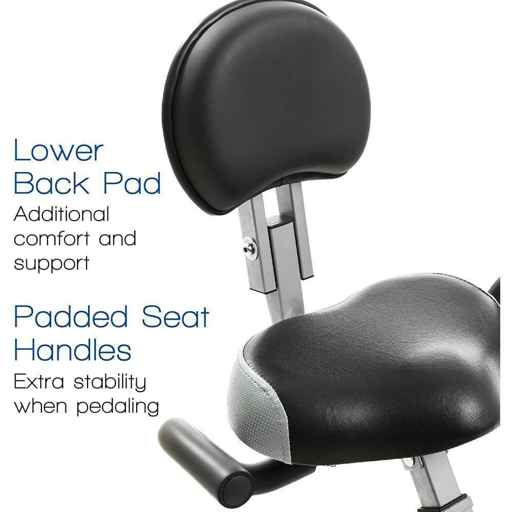 XTerra Fitness FB350 Folding Exercise Bike, Silver