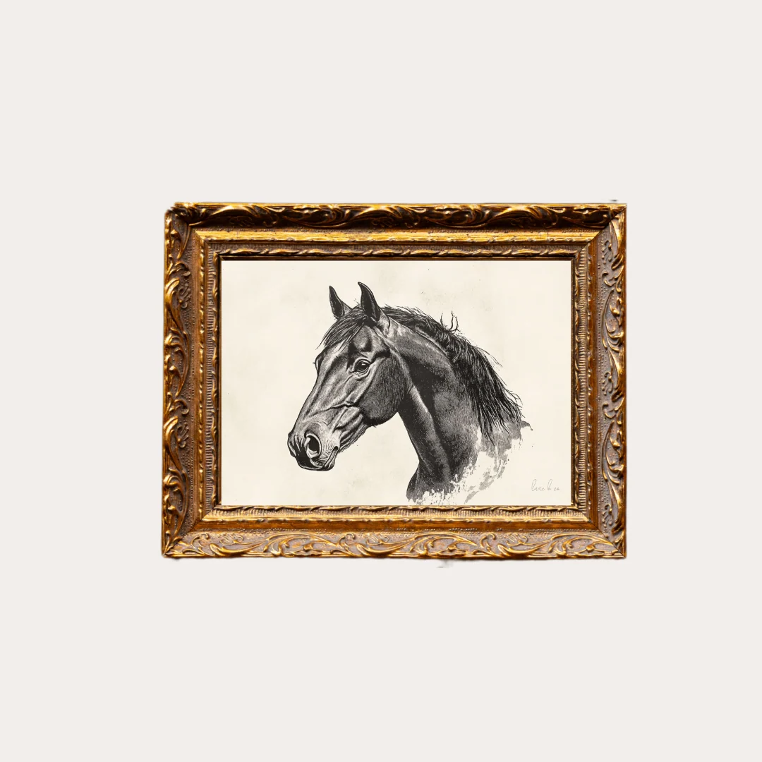 Stallion Sketch | French Brass Inspired Gold Mould Framed Art