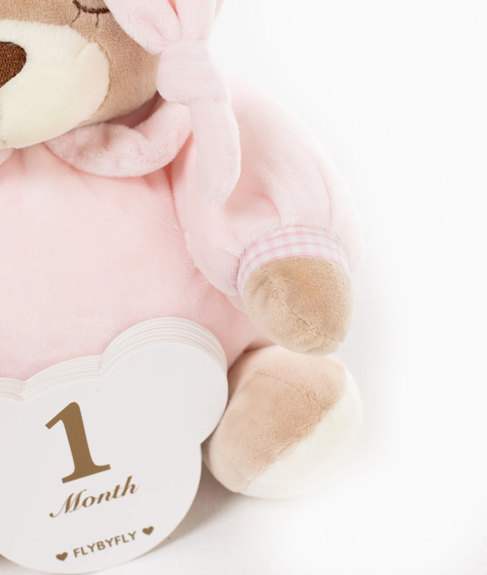 Baby Milestone Cards | Pink