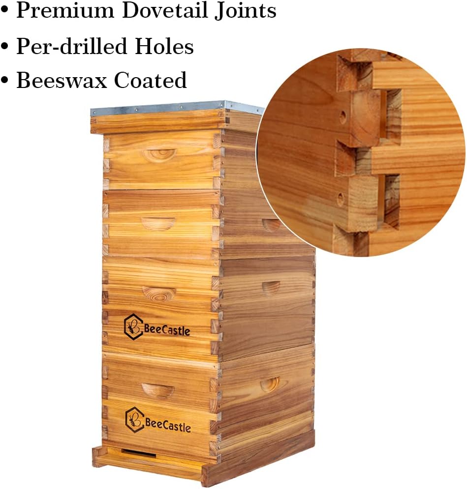 BeeCastle 10 Frame Langstroth Bee Hive Coated with 100% Beeswax Includes Beehive Frames and Waxed Foundations (2 Deep Boxes & 2 Medium Boxes)