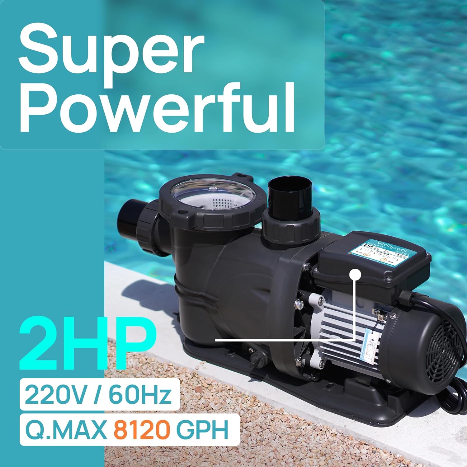 In/Above Ground Pool Pump  Self Primming High Flow (with Timer  2HP  8120 GPH  220V)