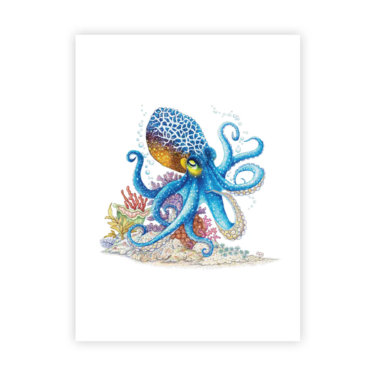Octopus - Signed Art Print (Limited Edition)