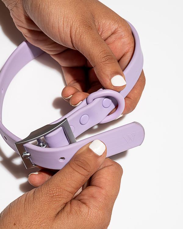 Lilac Collar