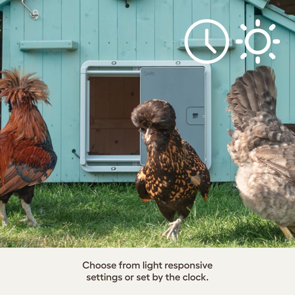Omlet Smart Automatic Chicken Coop Door Opener | Wi-Fi Enabled | Programmable with App | Operated by Light Sensor or Timer | Easy to Install | Mains or Battery Powered | Built-in Safety Sensors Grey
