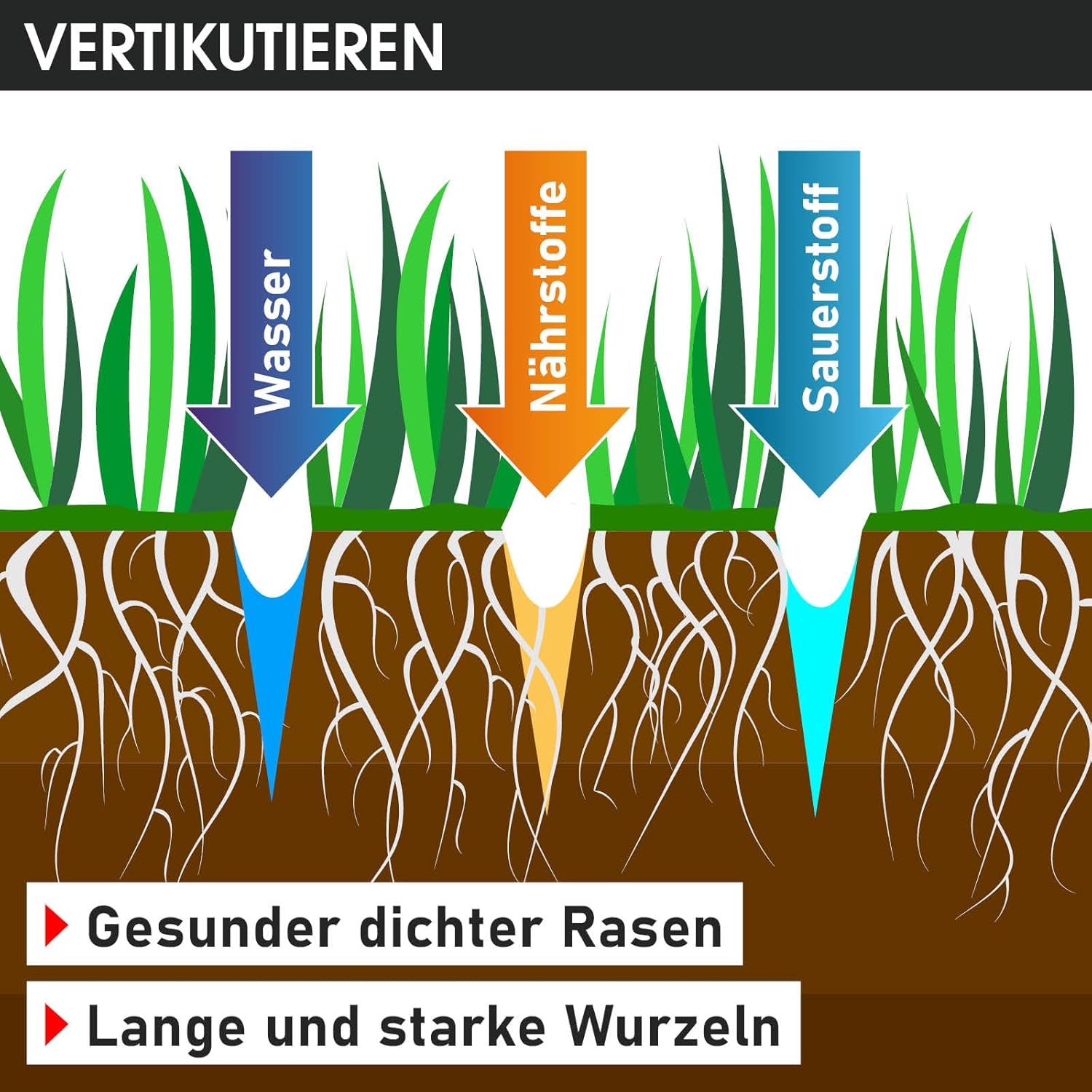 BRAST scarificateur électrique - 1800W largeur de travail 40cm, 2en1 rouleau scarificateur et aérateur, bac 55l - 3 MODÈLES diff. puissances - confortable à manier - scarificateur gazon électrique