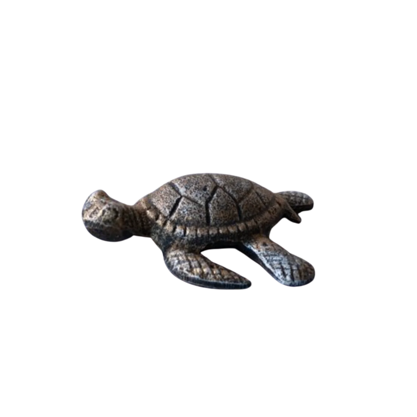 Golden Sea Turtle