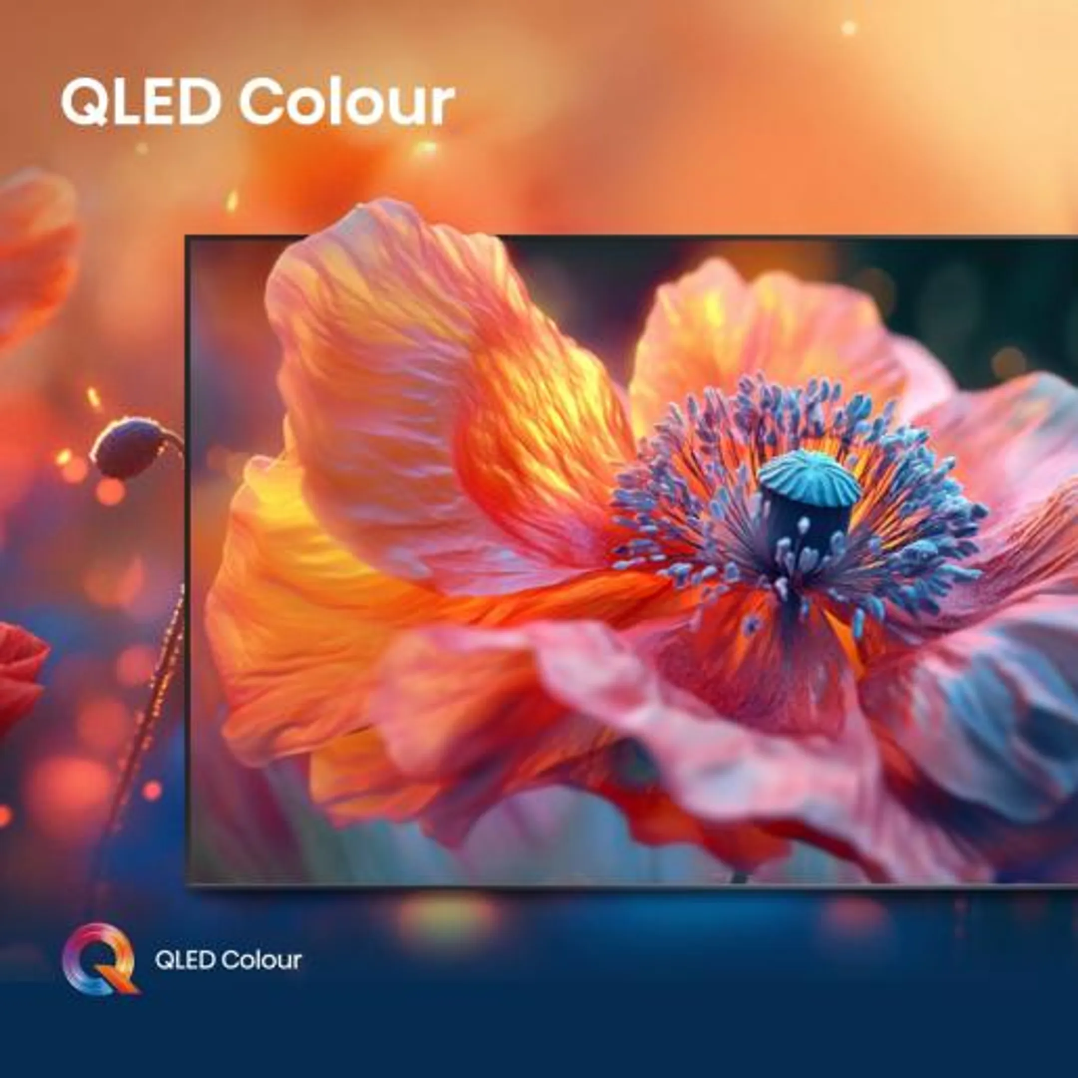 Hisense QLED 4K TV 55E79Q (2025) - 55 inch