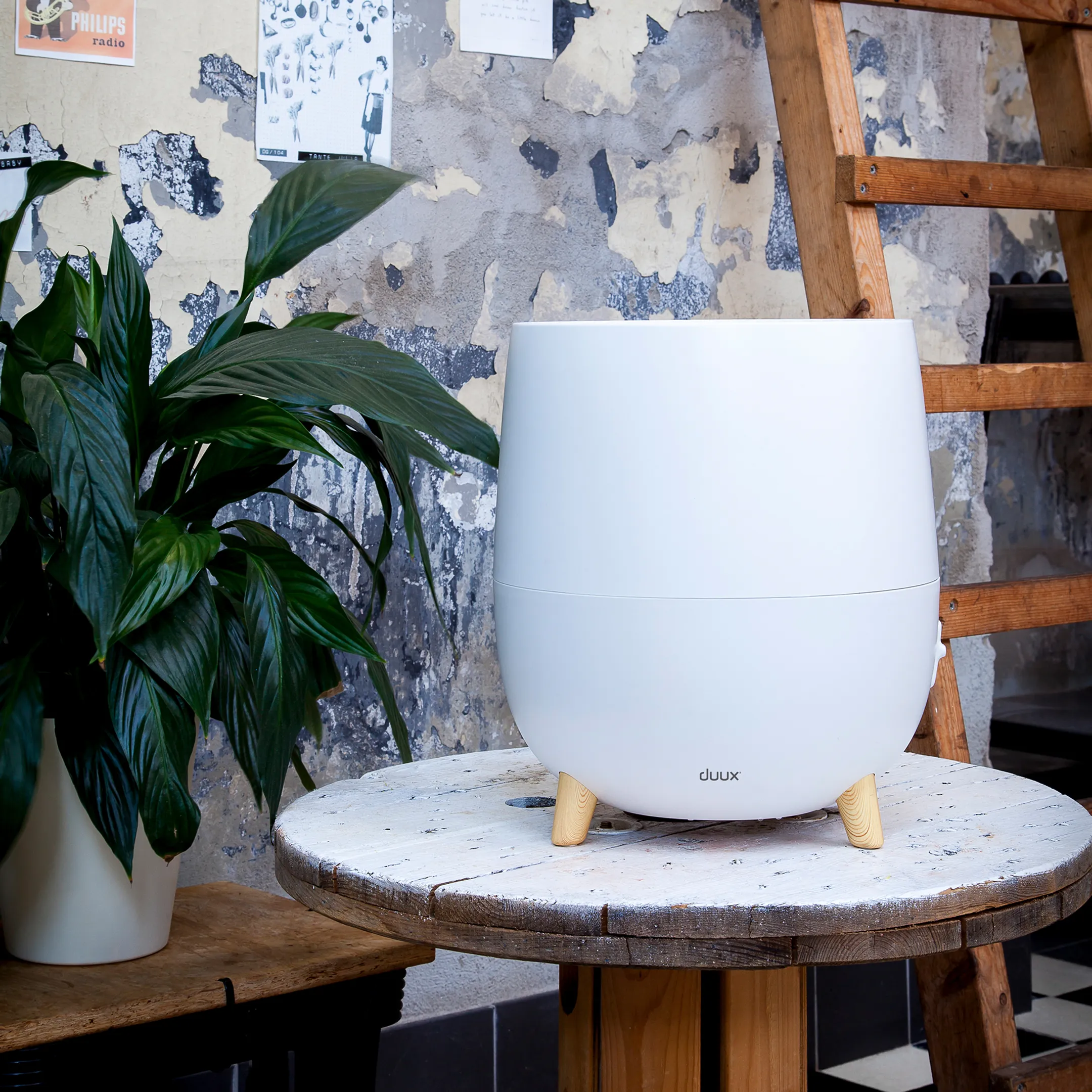 DUUX Luchtbevochtiger Ovi