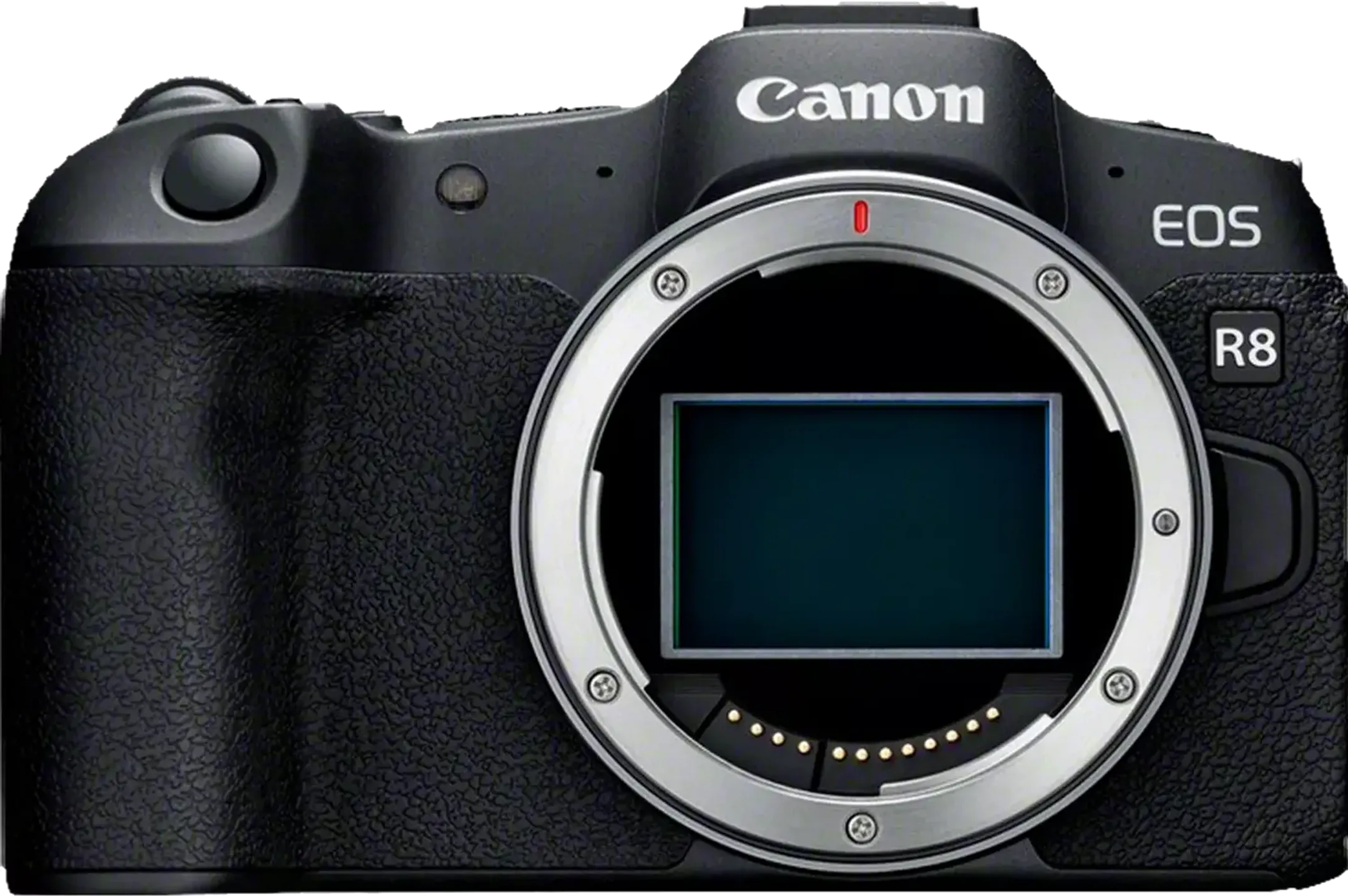 Canon Body EOS R8
