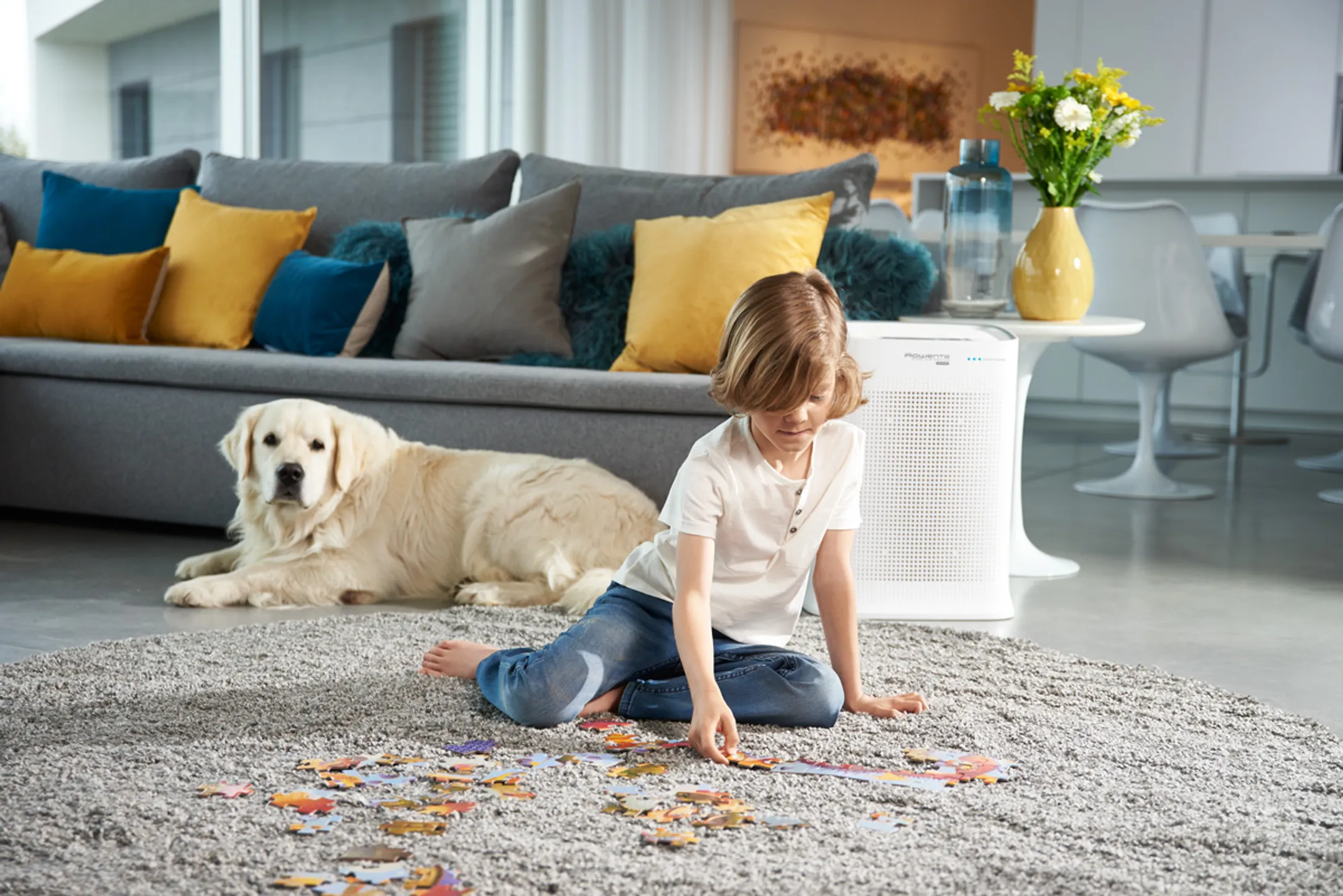 Rowenta Luchtreiniger Pure Air Genius PU3080