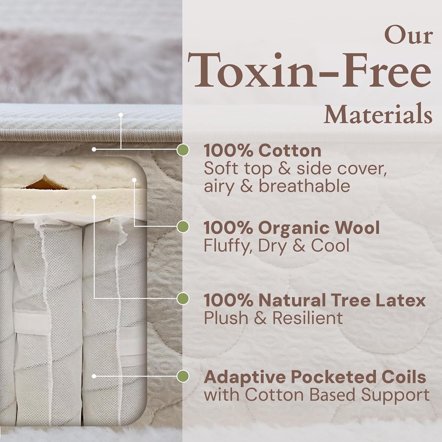 CottonSleep All Natural Mattress (100% Organic Cotton, Wool, & GOTS Latex, Made in The USA) Non Toxic, Fiberglass Free Hybrid Pocket Coil and Plush Foam Bed in A Box Medium Soft - Twin XL, 13"