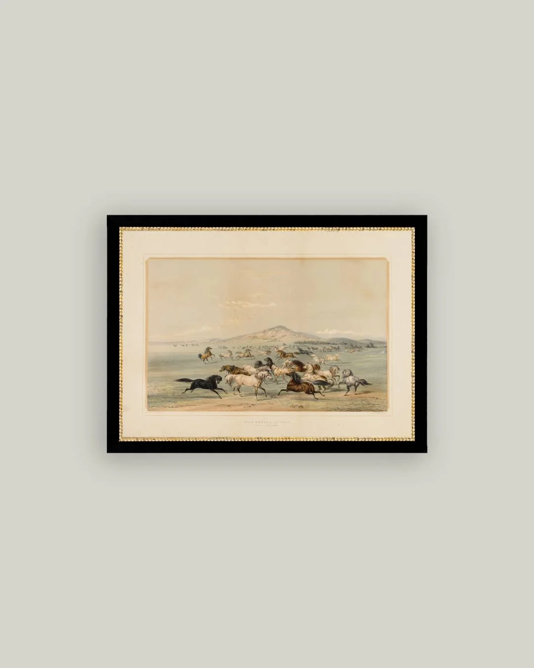 Field Of Horses Framed Antique Inspired Art