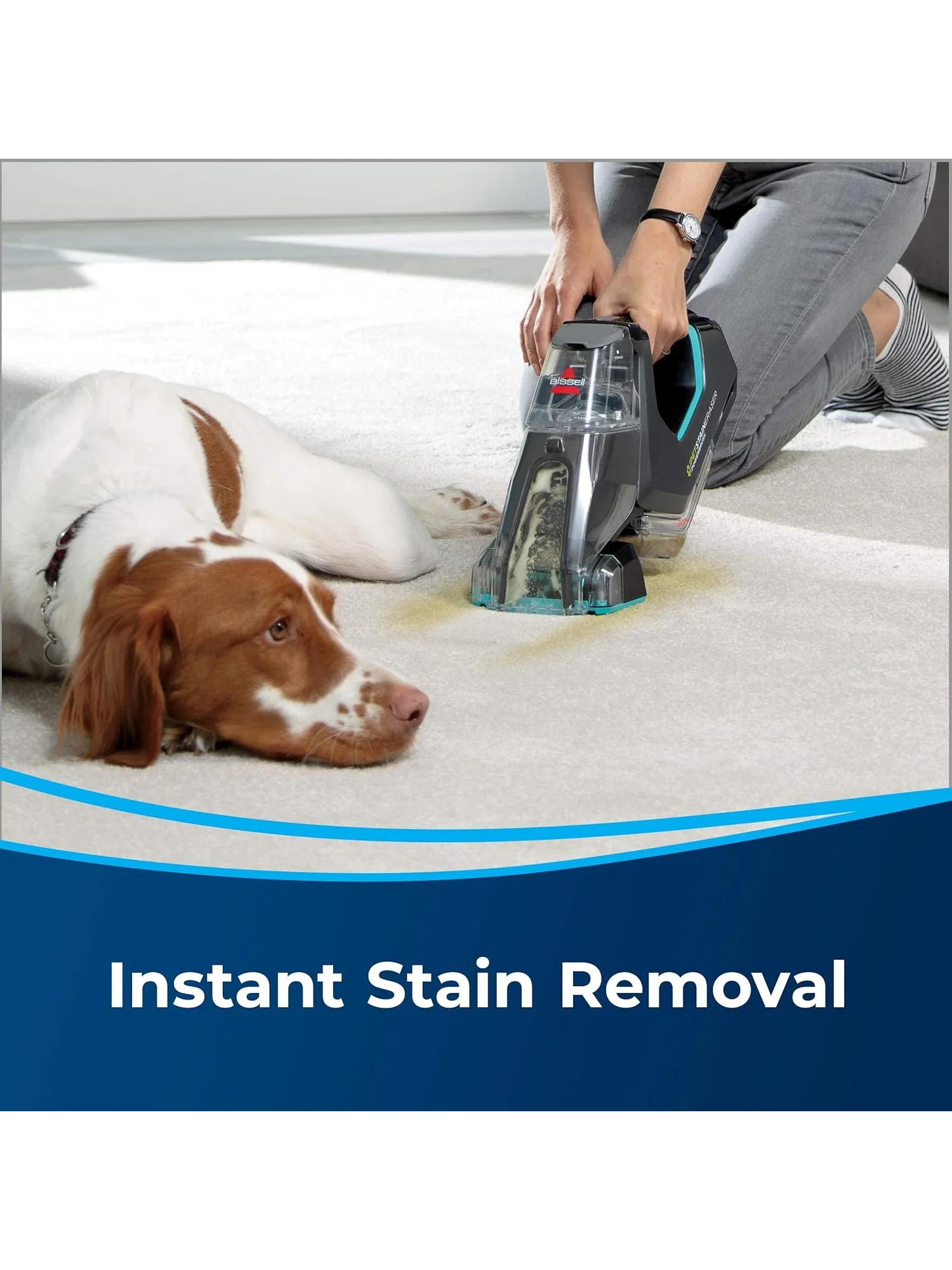 BISSELL Pet Stain Eraser PowerBrush, 20 min runtime, DirtLifter PowerBrush, Stationary Pet Tool,