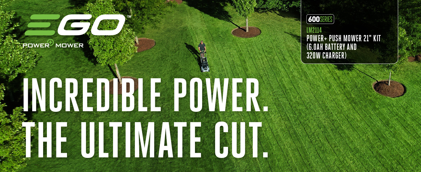 Man cutting large lawn