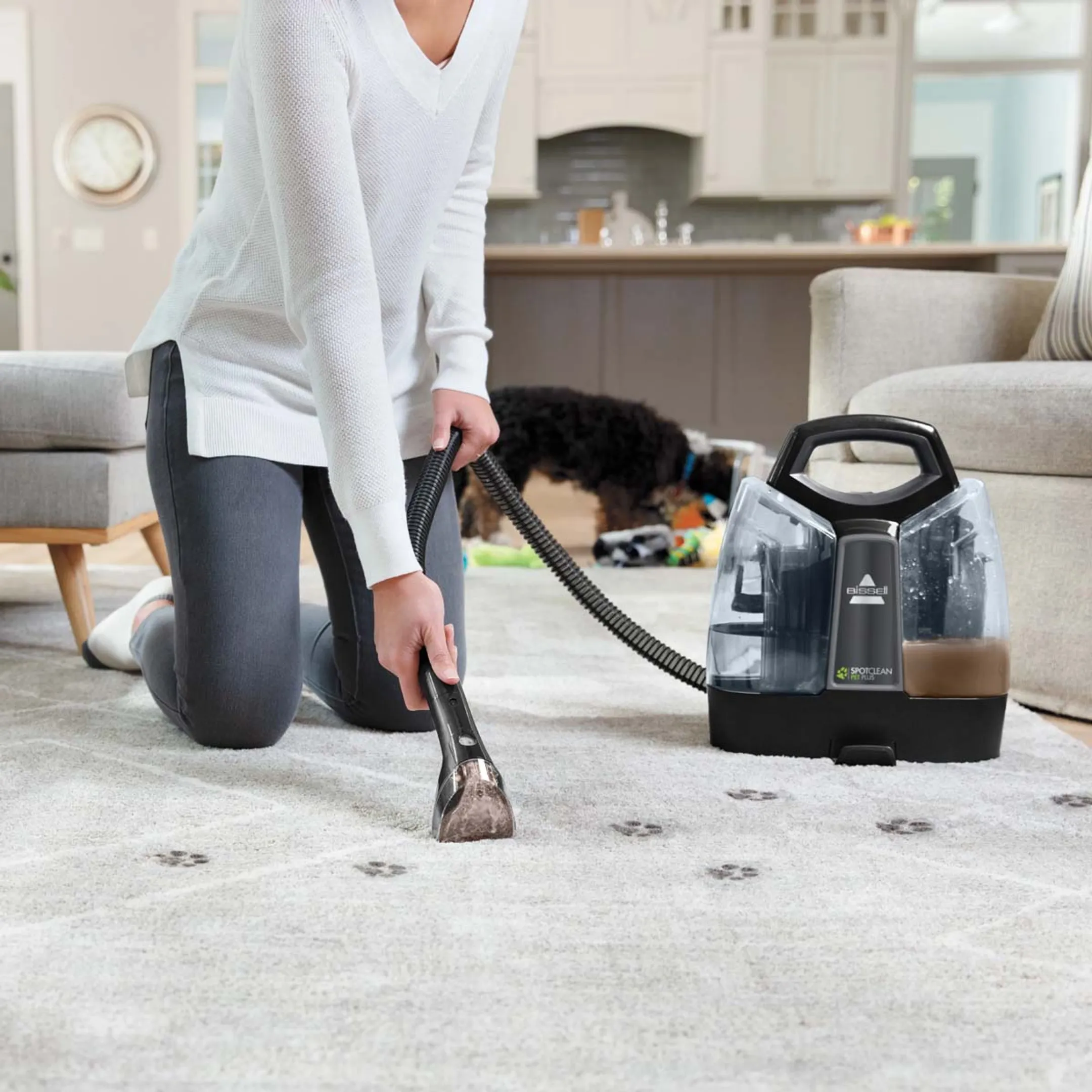 Bissell Tapijtreiniger Spotclean Pet Plus 37241
