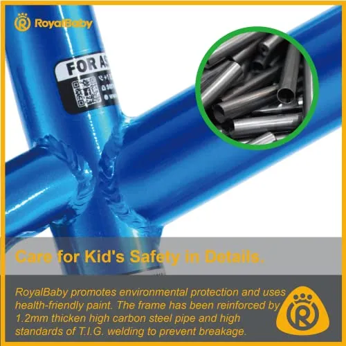 Royalbaby Kids Bike Freestyle BMX Bicycle with Training Wheels Kickstand