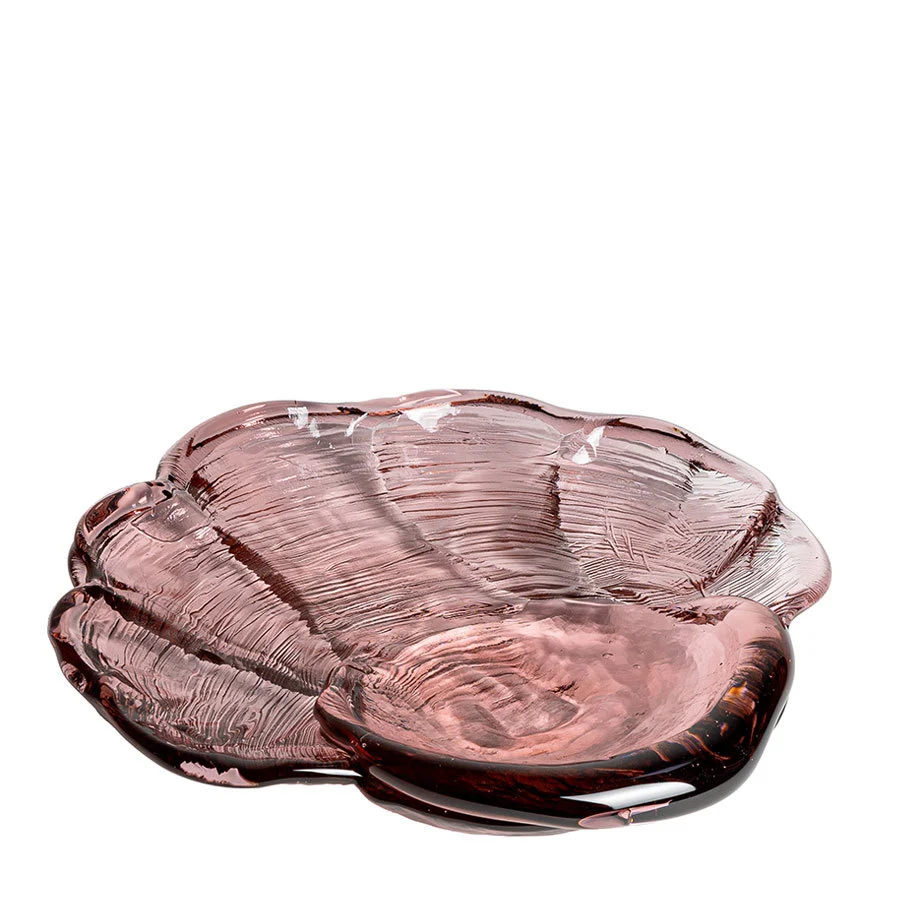Venus Clam
