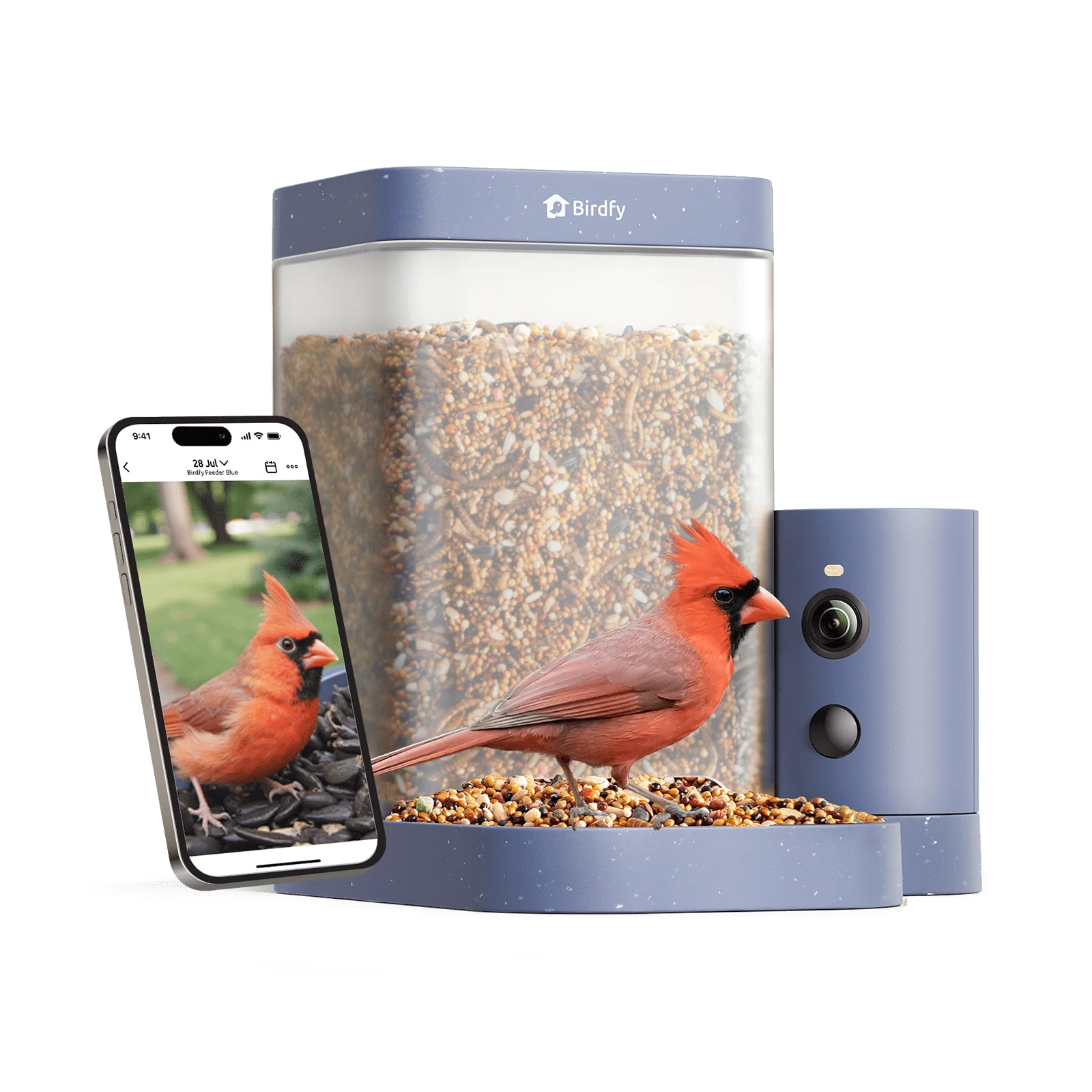 Birdfy Smart Bird Feeder with Camera, 60FPS Smooth Video, AI Bird Identification & Instant Alerts, Auto Capture, Perfect Gift for Bird Lovers