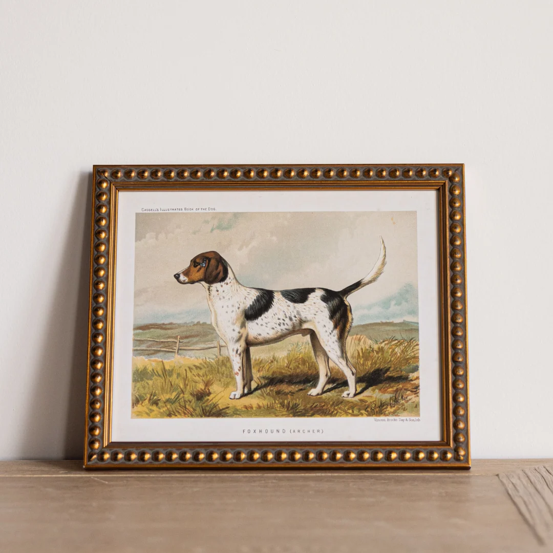 Vintage Foxhound Framed Art
