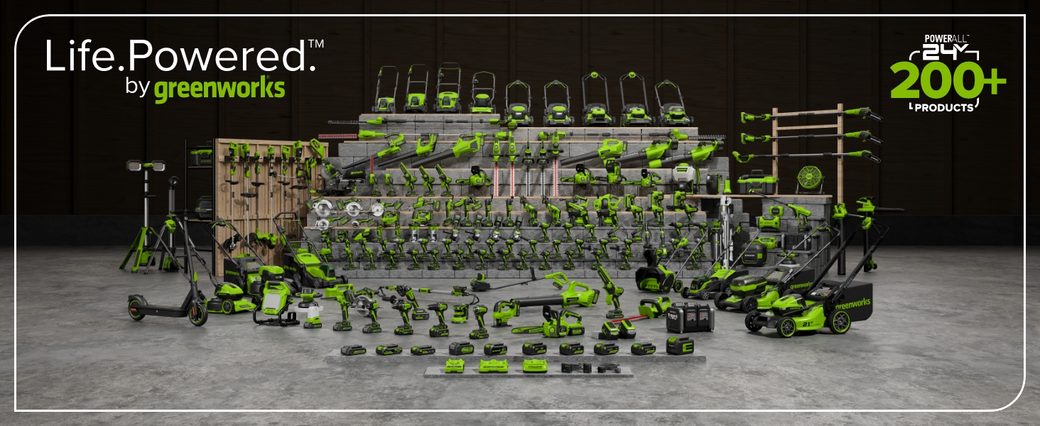 24V family