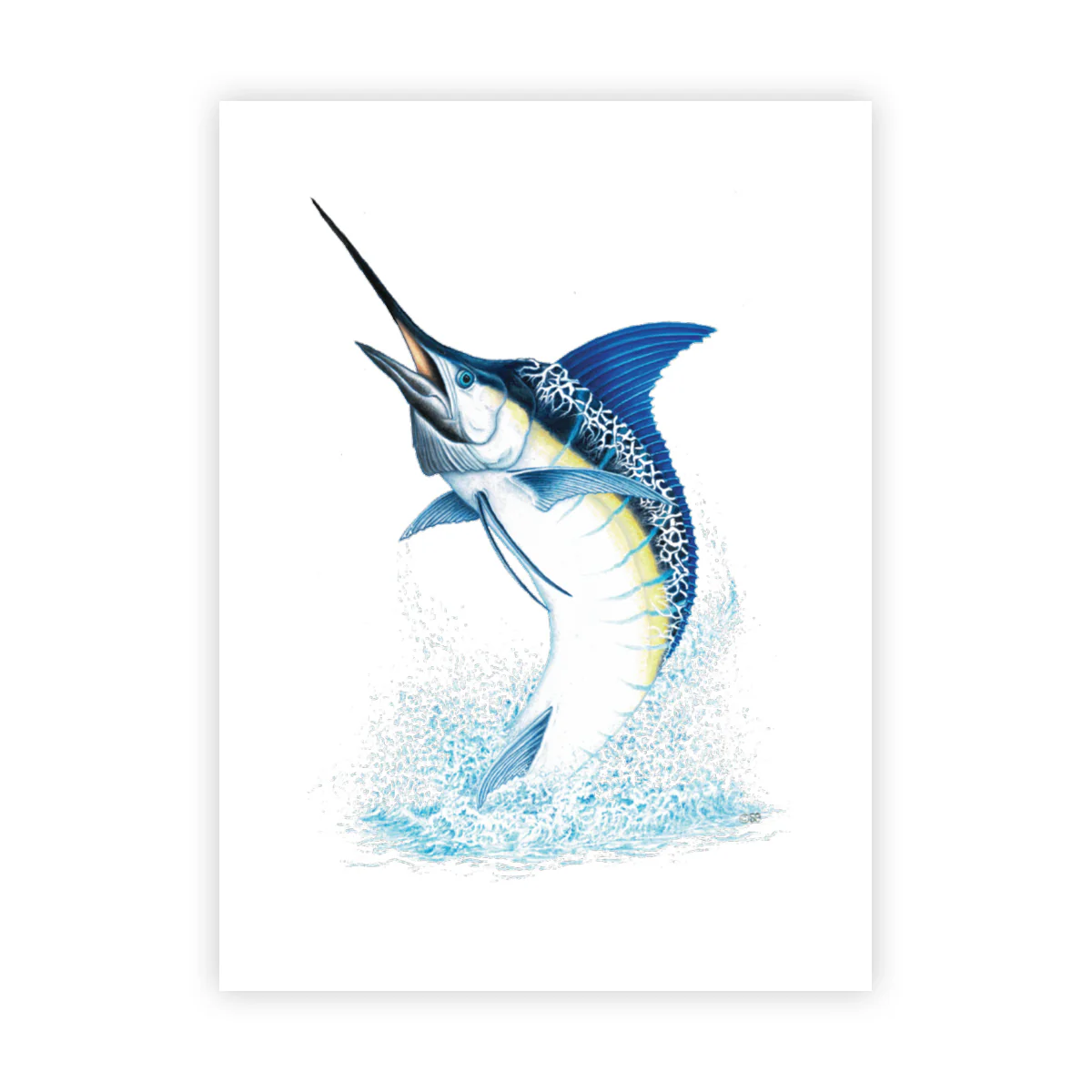 Blue Marlin - Signed Art Print (Limited Edition)