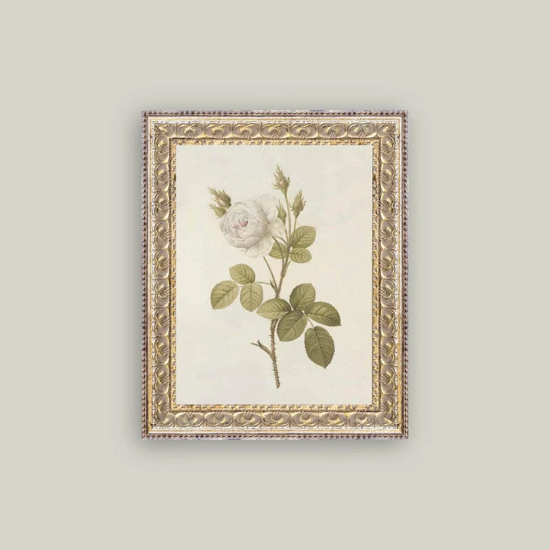 Misty Rose Framed Antique Inspired Art