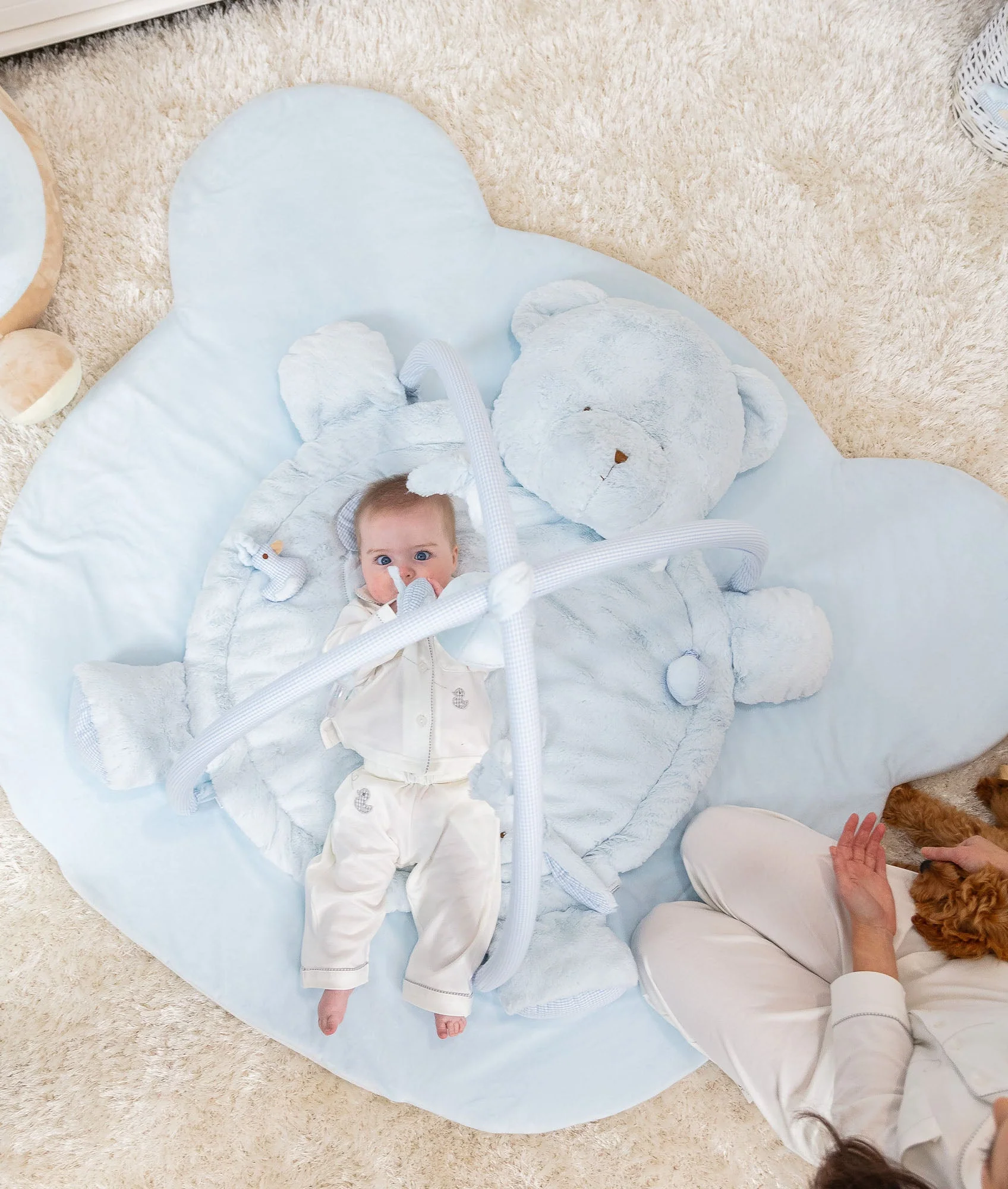 Bear Playmat & Gym | Blue